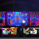 3600249.jpg
