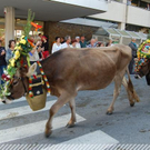 3613580.jpg