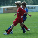 3616991.jpg