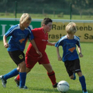 3616993.jpg