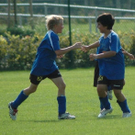 3616995.jpg