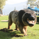 "World of Dinosaurs" - Ausstellung im Strandbad in Bregenz