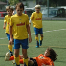 3630284.jpg
