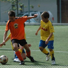 3630285.jpg