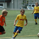3630286.jpg