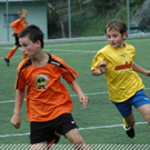 3630294.jpg