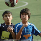 3630338.jpg