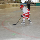 3641024.jpg