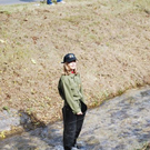 3641971.jpg