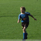 3642507.jpg