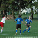 3642510.jpg
