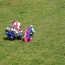 3648781.jpg