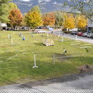 Vereinsturnier - Reitverein Ranch Nenzing