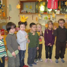 3663245.jpg