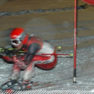 3682674.jpg