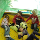 3684624.jpg