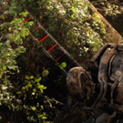 Bilder der Unfallstelle