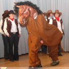 3691184.jpg