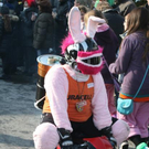 3690788.jpg
