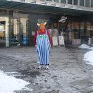 3690381.jpg