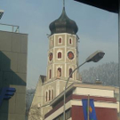 3690551.jpg