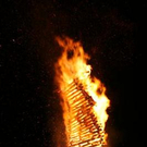 3699401.jpg