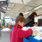 3713240.jpg