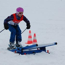 3715067.jpg