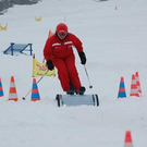 3715181.jpg