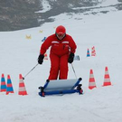 3715182.jpg