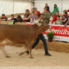 3718343.jpg