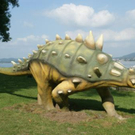 7010.JPG