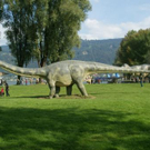 7047.JPG
