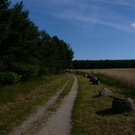 P1030692.JPG