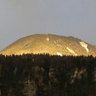 1895723.jpg