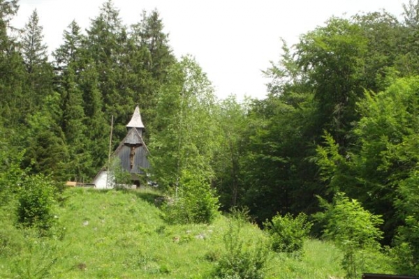 DSC00790.JPG