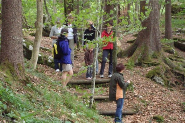 DSC00794.JPG