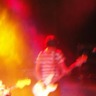 1950592.jpg