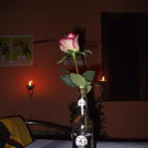 1983008.jpg