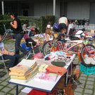 IMG_4455.JPG