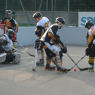 IMG_4924.JPG