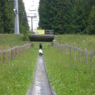 2031670.jpg