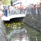 05.JPG