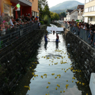 06.JPG