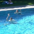 2100718.jpg