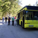 2199305.jpg
