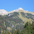 2199312.jpg