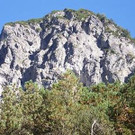 2199404.jpg