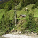 2199497.jpg