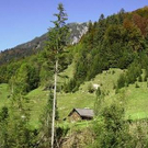 2199498.jpg